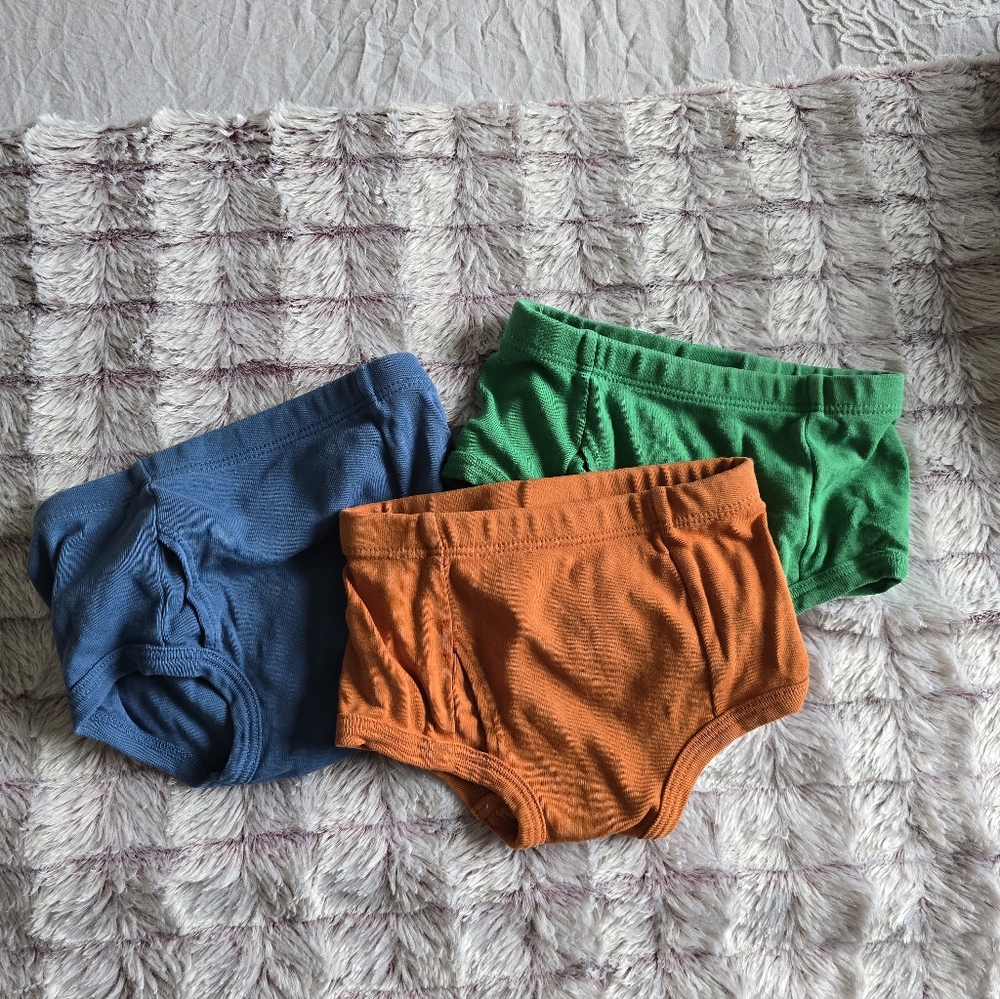 Organic Cotton 3pk Toddler Underwear